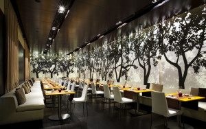 Golden Apple Restaurant designed by Antonella Iazzetti